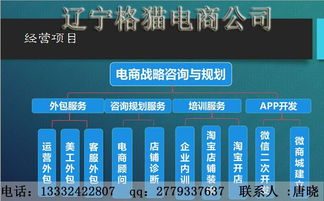 沈阳淘宝拍照产品拍摄网店商品拍摄食品零食品拍摄